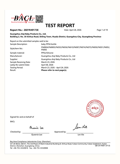 CE report preview